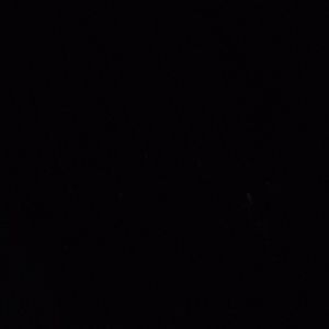 Meet your Posher, Ann